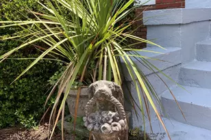 183 Main St S, Wagener, SC 29164 - Photo 80