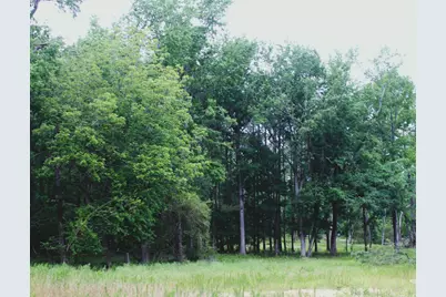 671 Lee Street, Johnston, SC 29832 - Photo 4