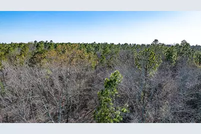 Lot 14 Bluffwood Road, Wagener, SC 29164 - Photo 4