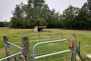 615 Browns Pond Rd, Wagener, SC 29164 - Photo 30