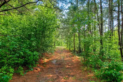 Lot 16 Reeves Street, Aiken, SC 29805 - Photo 4