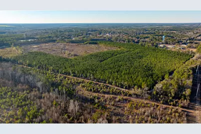 Tract 2 Festival Trail, Salley, SC 29137 - Photo 6