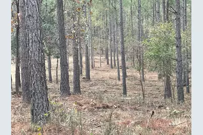 0 Camp Rawls Road, Aiken, SC 29801 - Photo 4