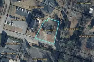 0 Simpkins St, Edgefield, SC 29824 - Photo 4