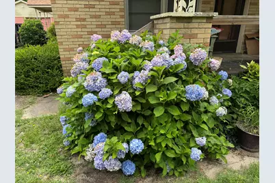 289 Cathy Drive, Warrenville, SC 29851 - Photo 6