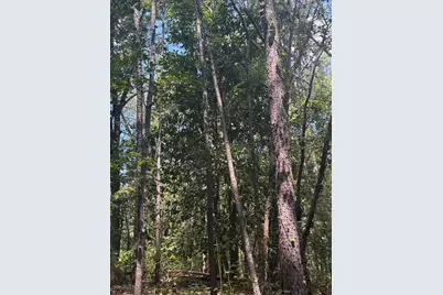 Tbd Bradley Mill Road, Aiken, SC 29805 - Photo 8