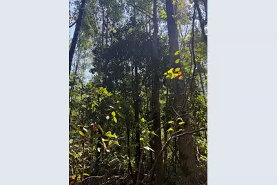 Tbd Bradley Mill Road, Aiken, SC 29805 - Photo 6