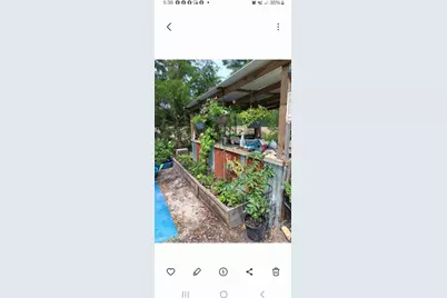 247 Horseshoe Trail, Barnwell, SC 29812 - Photo 54