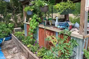 247 Horseshoe Trail, Barnwell, SC 29812 - Photo 54