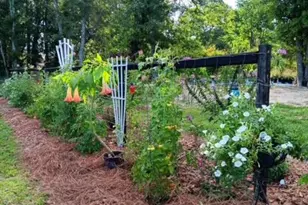 247 Horseshoe Trail, Barnwell, SC 29812 - Photo 20