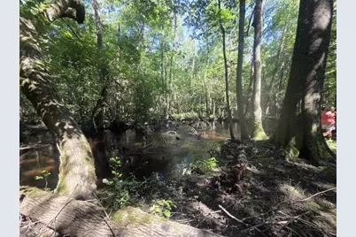 247 Horseshoe Trail, Barnwell, SC 29812 - Photo 64