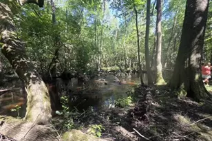 247 Horseshoe Trail, Barnwell, SC 29812 - Photo 64