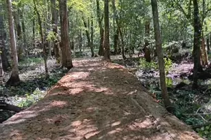 247 Horseshoe Trail, Barnwell, SC 29812 - Photo 4