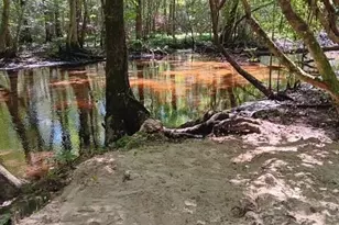 247 Horseshoe Trail, Barnwell, SC 29812 - Photo 2