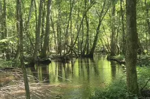 247 Horseshoe Trail, Barnwell, SC 29812 - Photo 62