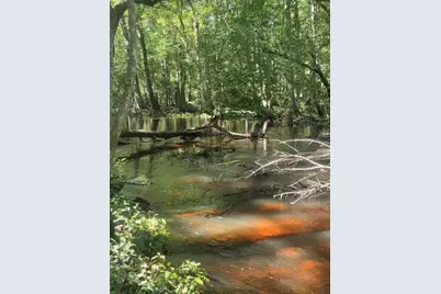 247 Horseshoe Trail, Barnwell, SC 29812 - Photo 58