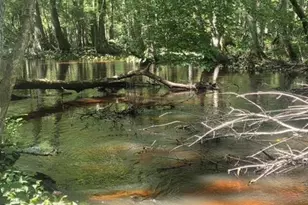 247 Horseshoe Trail, Barnwell, SC 29812 - Photo 58