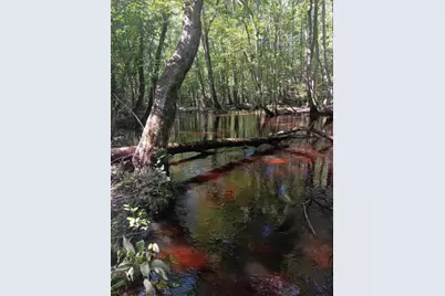 247 Horseshoe Trail, Barnwell, SC 29812 - Photo 68