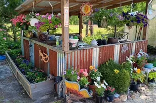 247 Horseshoe Trail, Barnwell, SC 29812 - Photo 50