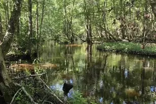 247 Horseshoe Trail, Barnwell, SC 29812 - Photo 66