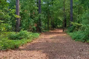 247 Horseshoe Trail, Barnwell, SC 29812 - Photo 60