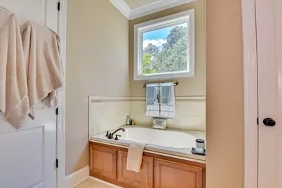 3005 Timber Woods Drive, Appling, GA 30802 - Photo 44