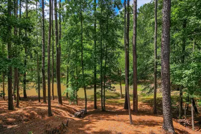 3005 Timber Woods Drive, Appling, GA 30802 - Photo 82