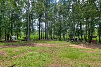 196 Brodie Hall Road, Wagener, SC 29164 - Photo 36