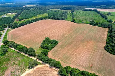 196 Brodie Hall Road, Wagener, SC 29164 - Photo 6