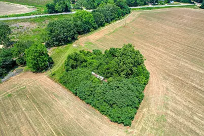 196 Brodie Hall Road, Wagener, SC 29164 - Photo 38