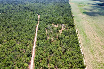 17 Acres Hard Luck Lane, Windsor, SC 29856 - Photo 8