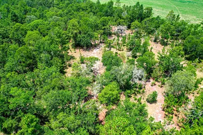 17 Acres Hard Luck Lane, Windsor, SC 29856 - Photo 4