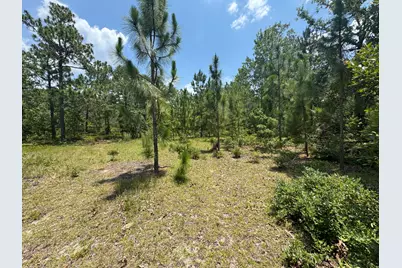17 Acres Hard Luck Lane, Windsor, SC 29856 - Photo 16