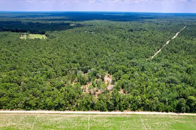 17 Acres Hard Luck Lane, Windsor, SC 29856 - Photo 10