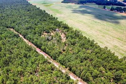 17 Acres Hard Luck Lane, Windsor, SC 29856 - Photo 6