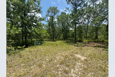 17 Acres Hard Luck Lane, Windsor, SC 29856 - Photo 26