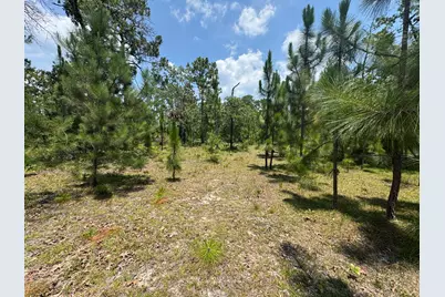 17 Acres Hard Luck Lane, Windsor, SC 29856 - Photo 12