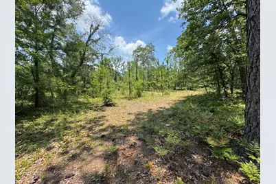 17 Acres Hard Luck Lane, Windsor, SC 29856 - Photo 22