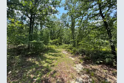 17 Acres Hard Luck Lane, Windsor, SC 29856 - Photo 1