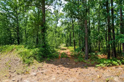 17 Acres Hard Luck Lane, Windsor, SC 29856 - Photo 2