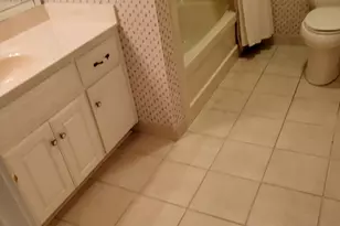 80 Peninsula Point, Aiken, SC 29803 - Photo 42