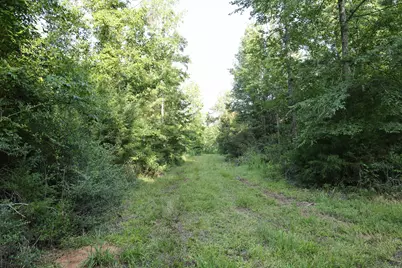 Tbd Glover Street, Edgefield, SC 29824 - Photo 6