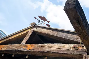 13 Marion Young Ct, Aiken, SC 29801 - Photo 52