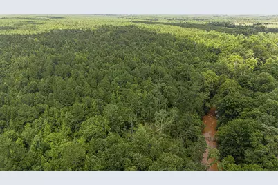 Tbd Burton Drive, Edgefield, SC 29824 - Photo 2