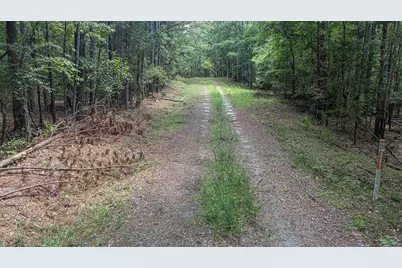 Tbd Burton Drive, Edgefield, SC 29824 - Photo 6