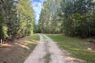 395 New Cut Rd, Edgefield, SC 29824 - Photo 84