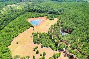 395 New Cut Rd, Edgefield, SC 29824 - Photo 52