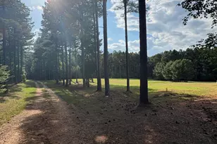 395 New Cut Rd, Edgefield, SC 29824 - Photo 78