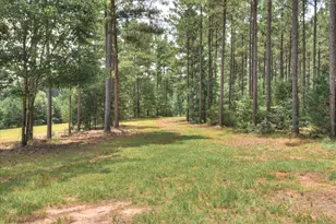 395 New Cut Rd, Edgefield, SC 29824 - Photo 64