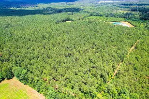 395 New Cut Rd, Edgefield, SC 29824 - Photo 74